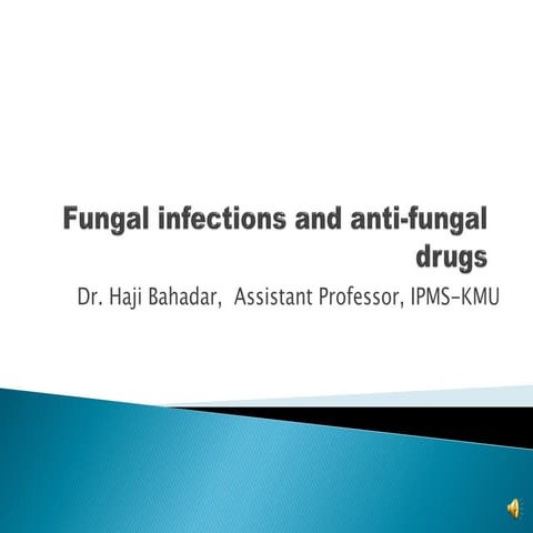 ANTIFUNGAL DRUGS CLASSIFICATION SLIDESHARE visual data 4