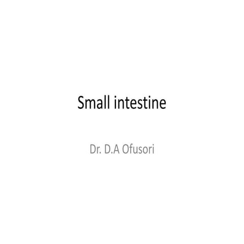 10. SMALL INTESTINE: A brief description of the anatomy of the GIT