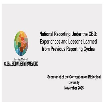National Reporting Under the UN CBD: Experiences and Lessons Learned from Pre...