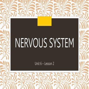 10-3-3-Nervous-System.pptxVAGDFgacddddsd