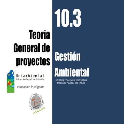 10.3 teoría de proyectos