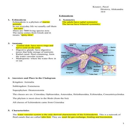 10 4 all handouts animal diversity 2010 jewett edit