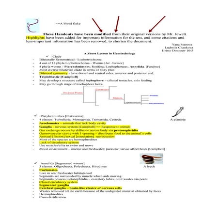 10 5 animal diversity handouts all