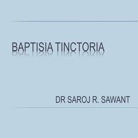  baptisia tinctoria