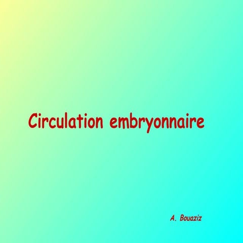circulation embryonnaire