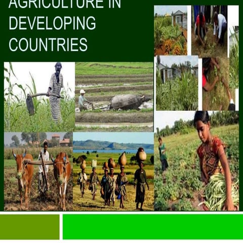 Agriculture and Development