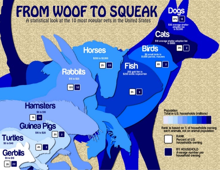 10 Most Popular Pets in the United States of America