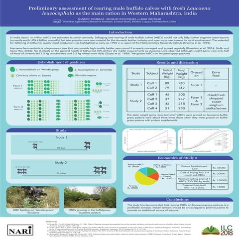 Preliminary assessment of rearing male buffalo calves with fresh ...