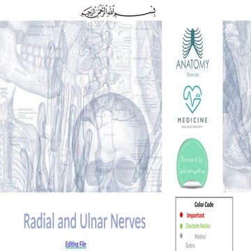 10-Radial and ulnar nerves anatomy course description