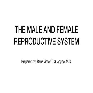 10 - Reproductive System, Male and Female Reproductive Tract.pdf