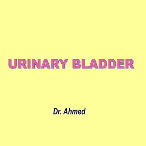 10-Urinary bladder.pptx