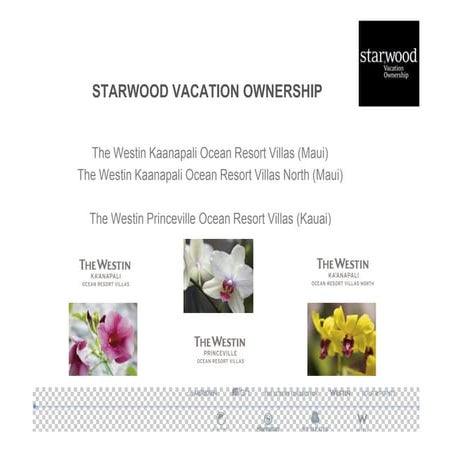 10 wkor-0298 svopresentationenglish-with comments