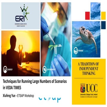 Techniques for Running Large Numbers of Scenarios in TIMES