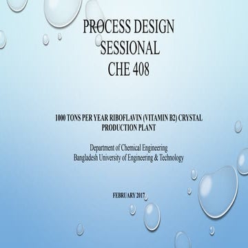 1000 Tons Per Year Riboflavin (Vitamin B2) Crystal Production Plant | Process Design | Supervisor: Dr. Nafisa Islam 