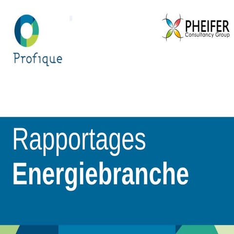 Rapportage energiebranche | PPTX