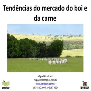 100326 Tendencias Cadeia Carne Bovi...