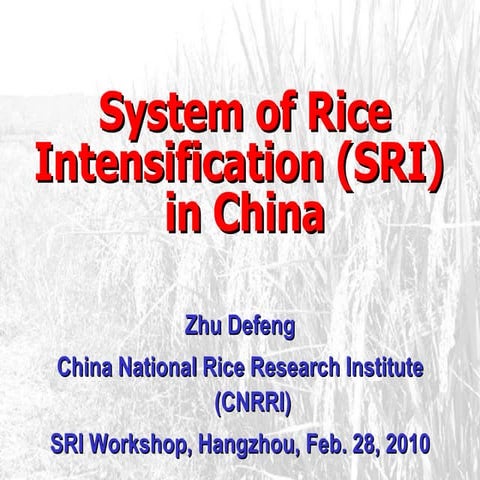 1005 The System of Rice Intensification