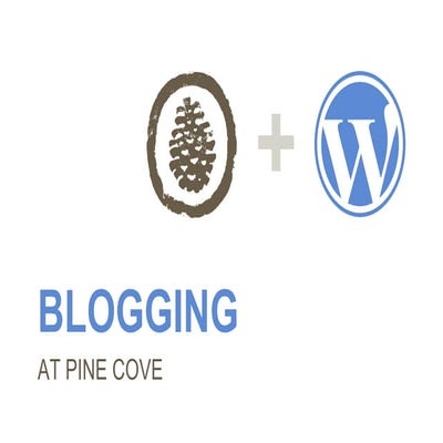 Blogging at Pine Cove