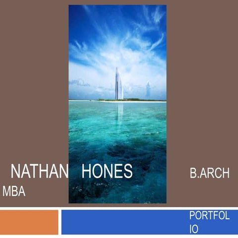 Professional Portfolio