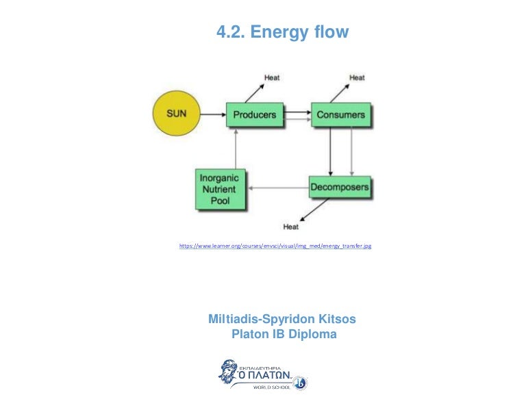 Energy Flow Diagram Examples