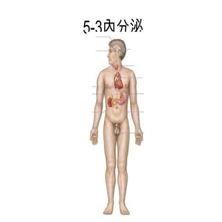 看影片學內分泌---教學用簡報