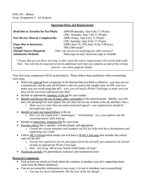 Ad analysis essay