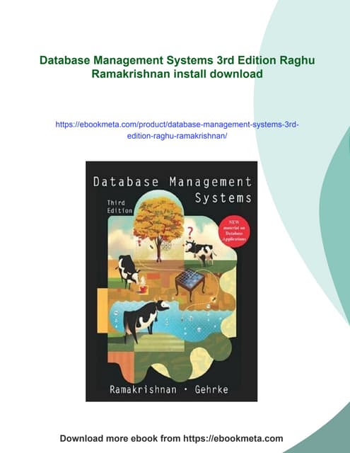 Database Management Systems 3rd Edition Raghu Ramakrishnan
