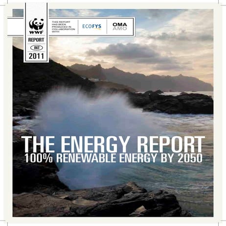 The Energy Report