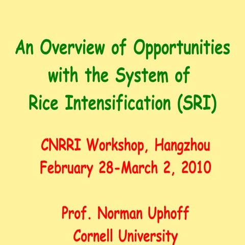1019 An Overview of Opportunities with the System of Rice Intensification (SRI)
