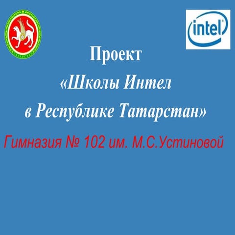 102 гимназия