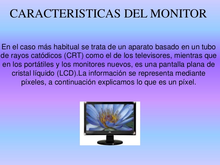 caracteristicas del monitor