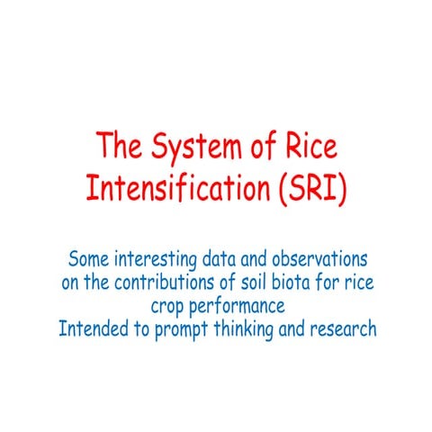 1021 The System of Rice Intensification (SRI)  Soil Biota for Rice Crop Perfo...