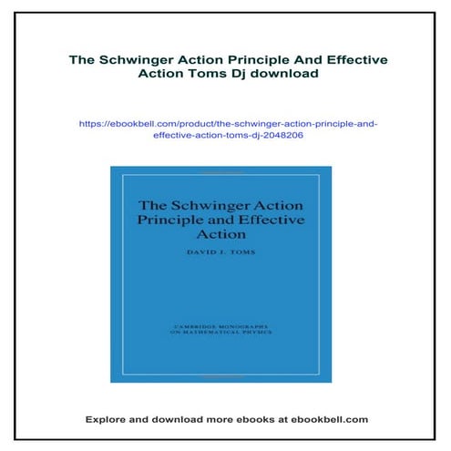 The Schwinger Action Principle And Effective Action Toms Dj