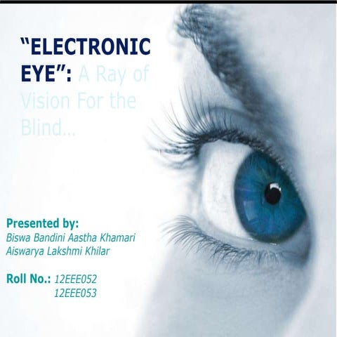 THE ELECTRONIC EYE