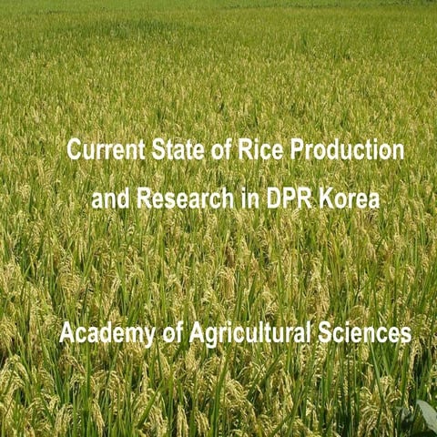 1027 Current State of Rice Production and Research in DPR Korea
