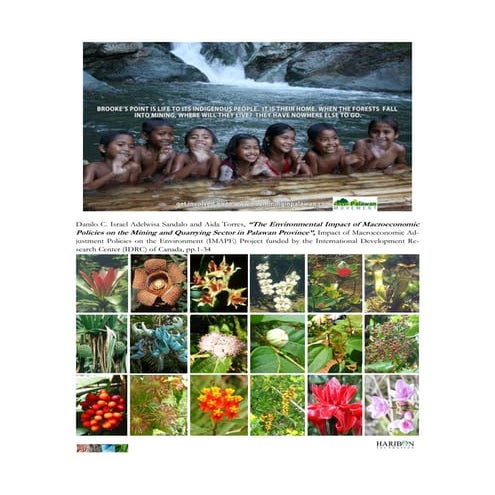 The Environmental Impact of Macroeconomic Policies On Mining and Quarrying Se...