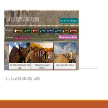 102 oral presentation example