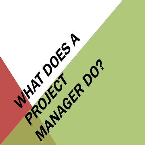 103 Project manager's responsibilities