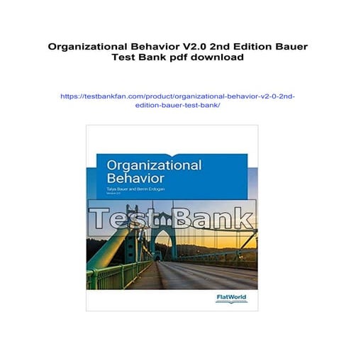 Organizational Behavior V2.0 2nd Edition Bauer Test Bank | PDF