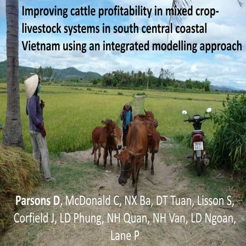 Improving cattle profitability in mixed crop-livestock systems in south centr...