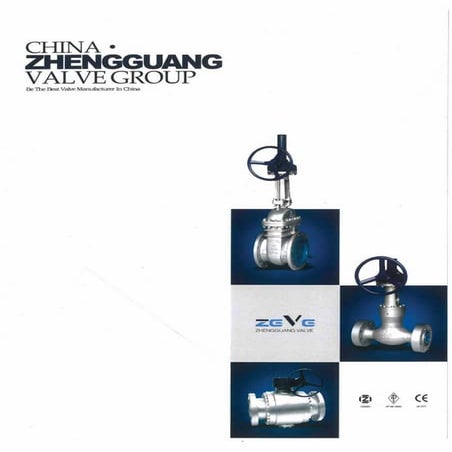 CHINA ZHENGGUANG VALVE GROUP VALVE