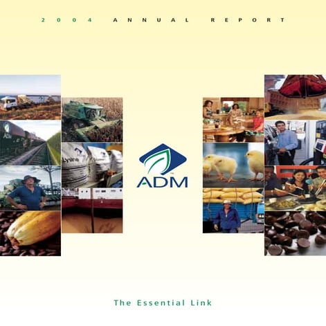 ADM 2004 Annual Reports | PDF