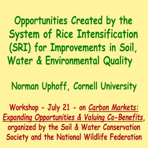 1039 Opportunities Created by the System of Rice Intensification (SRI) for Im...