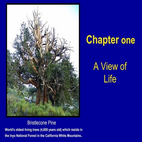 103 ch 1 briehn.ppt 1.10 (1)