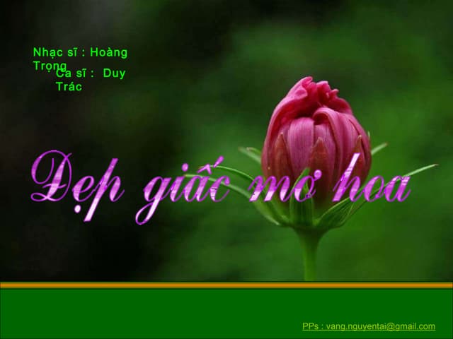 10 40 dep giac mo hoa  