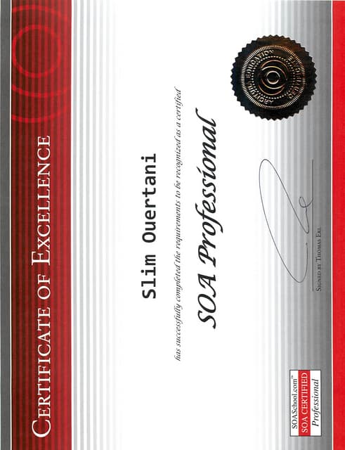 SOA Professional