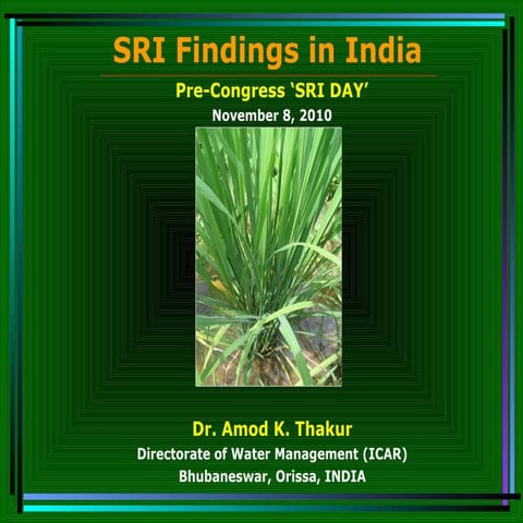 1049 SRI Findings in India 