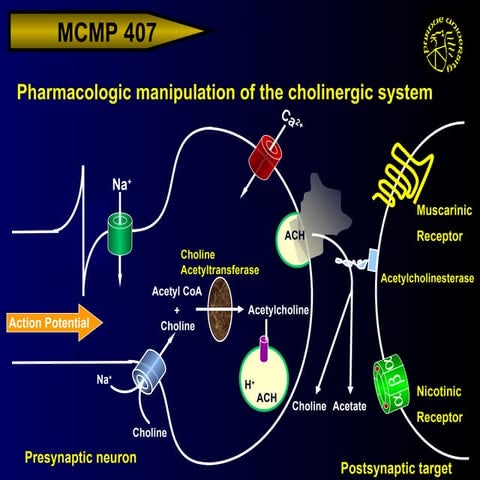 Cholinomimetics | PPTX