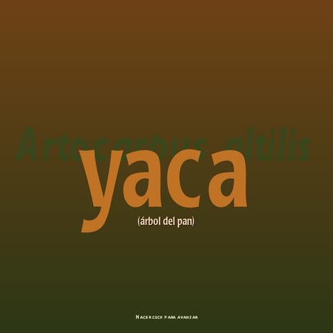 Yaca (por: carlitosrangel)