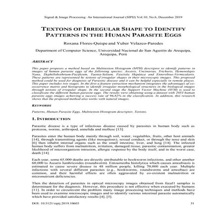 Textons of Irregular Shape to Identify Patterns in the Human Parasite Eggs